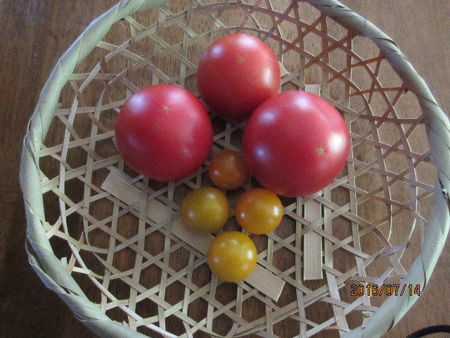 H28.7.14.JPG