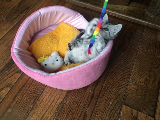 image.jpeg image.jpeg