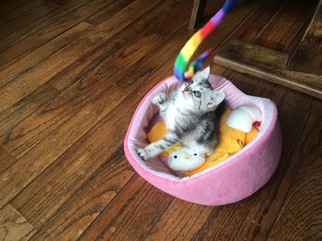 image.jpeg image.jpeg