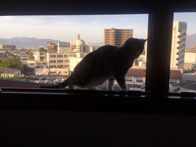 image.jpeg image.jpeg