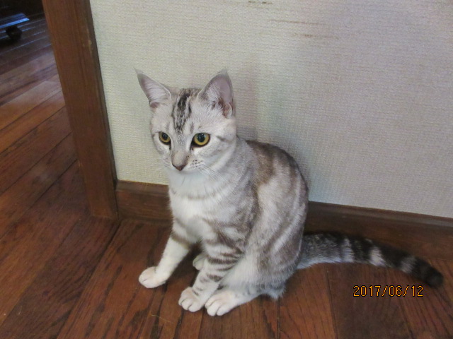 H29.6.12.JPG H29.6.12.JPG