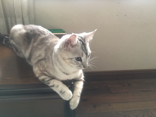 image.jpeg