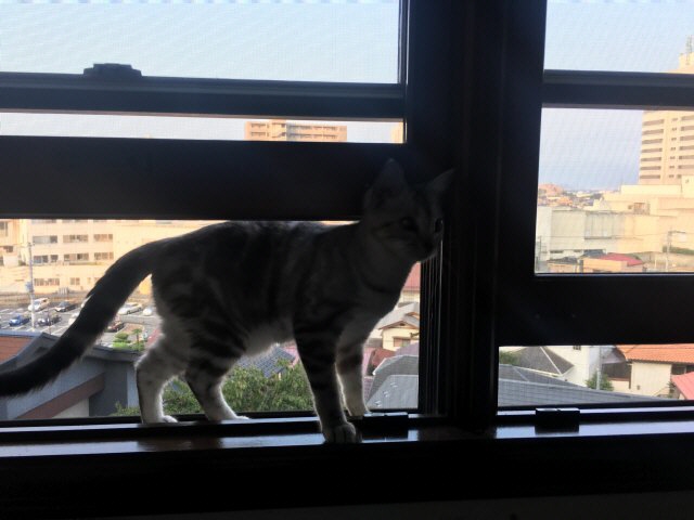 image.jpeg image.jpeg