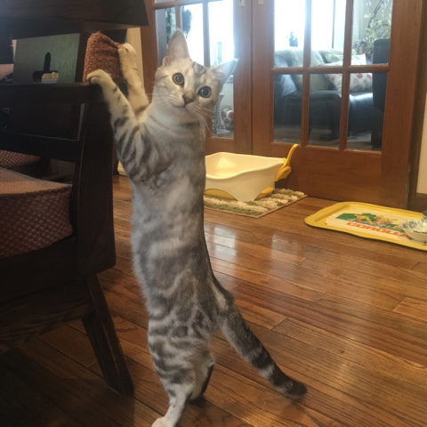 image.jpeg image.jpeg