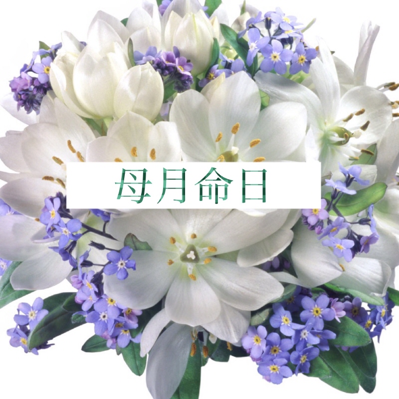 image.jpeg image.jpeg