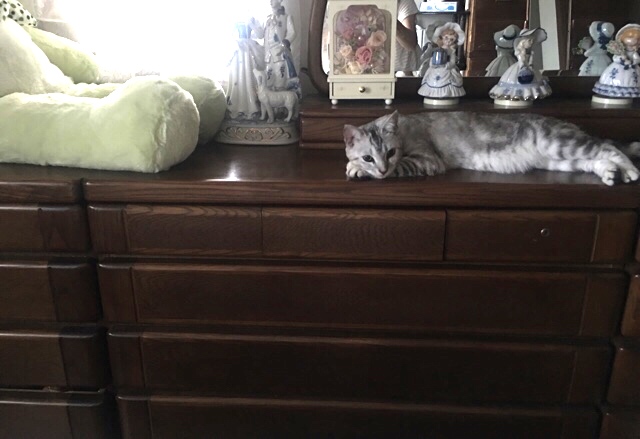 image.jpeg image.jpeg