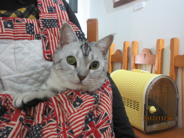 H29.11.30.JPG H29.11.30.JPG