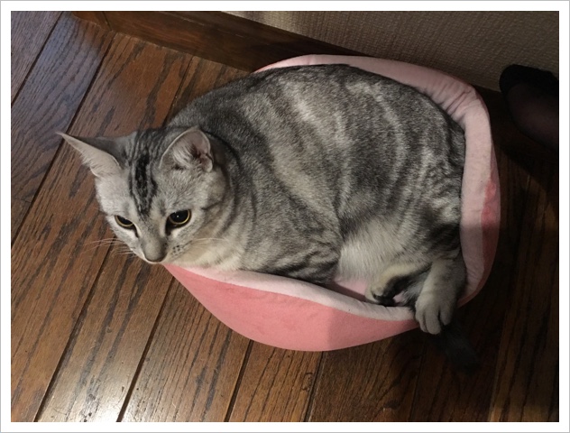 image.jpeg