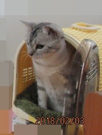 image.jpeg