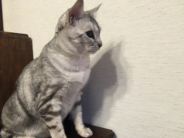 image.jpeg