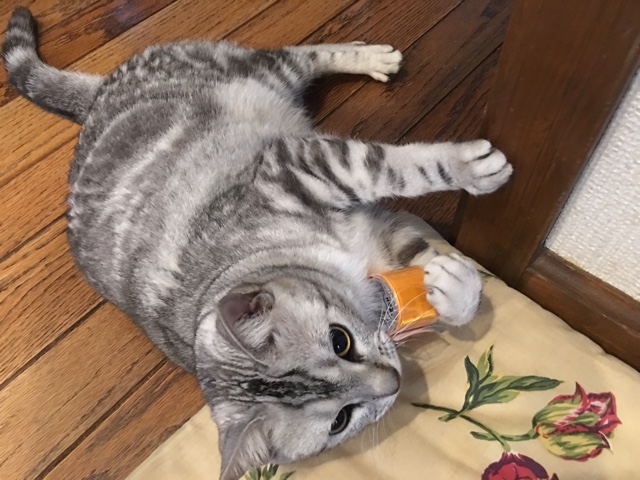 image.jpeg image.jpeg