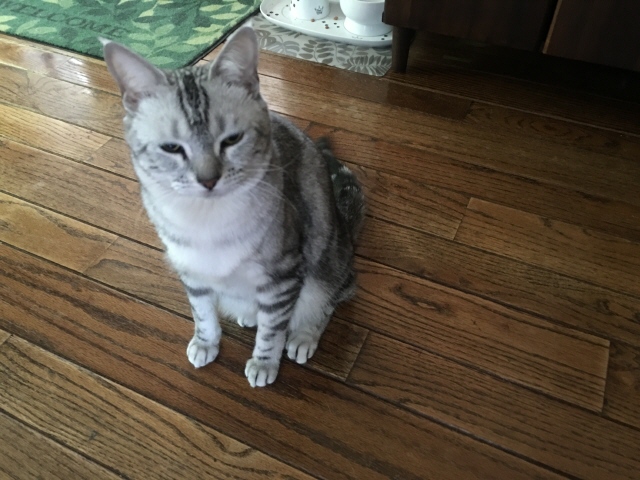 image.jpeg