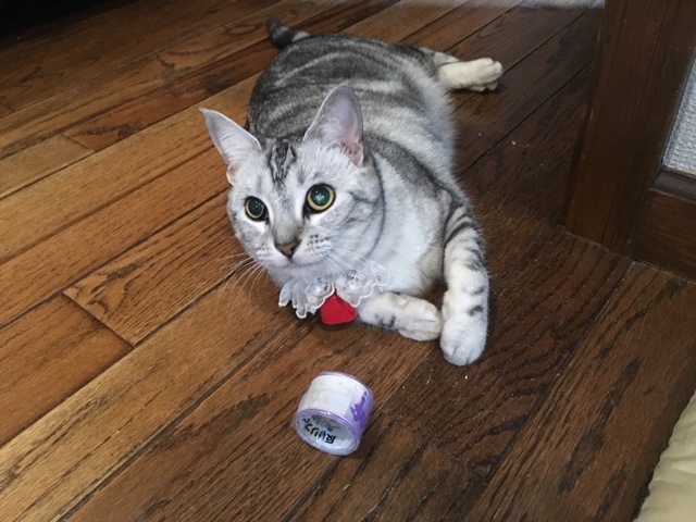 image.jpeg image.jpeg