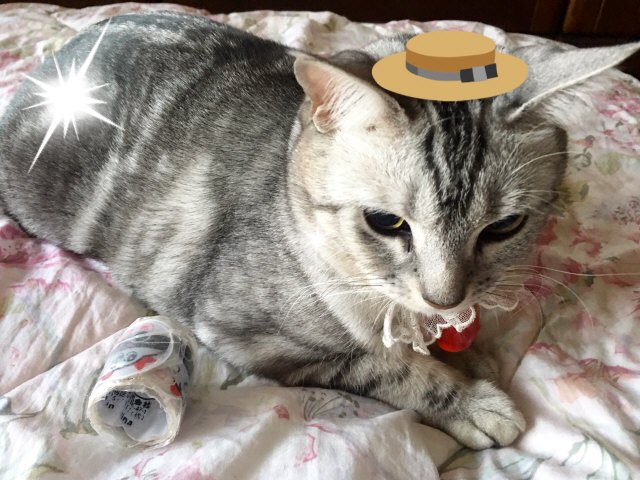 image.jpeg