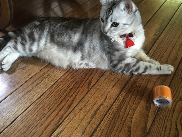 image.jpeg image.jpeg
