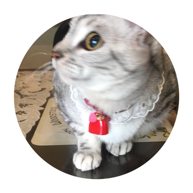 image.jpeg