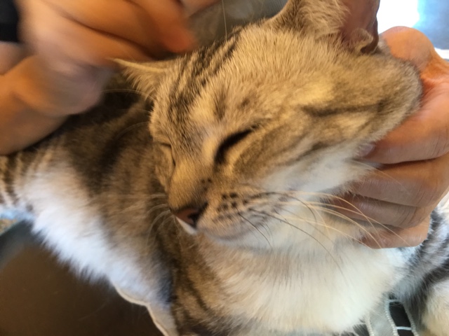 image.jpeg image.jpeg