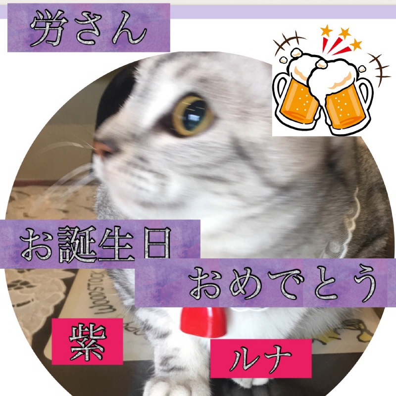 image.jpeg