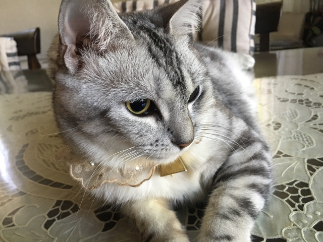 image.jpeg image.jpeg