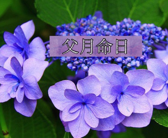 image.jpeg image.jpeg