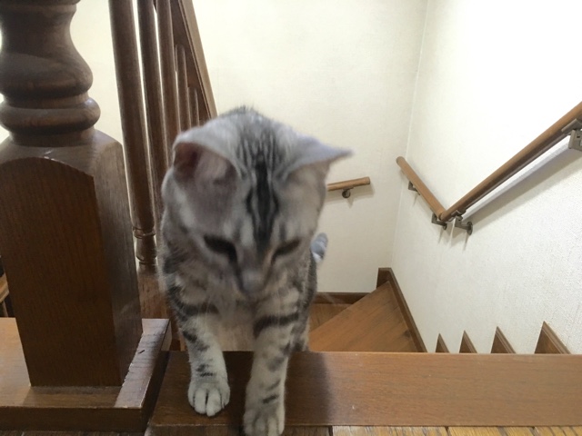 image.jpeg image.jpeg