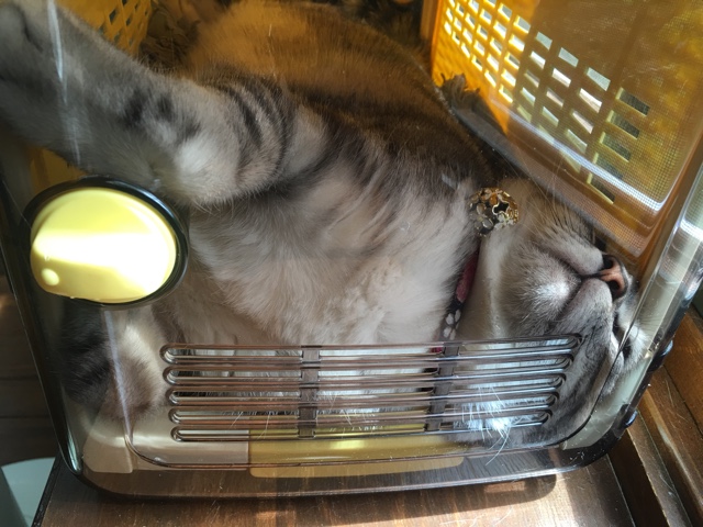 image.jpeg image.jpeg