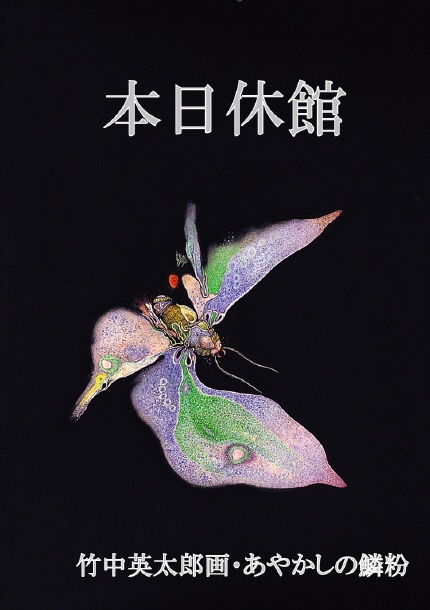 䤫ʴٴ