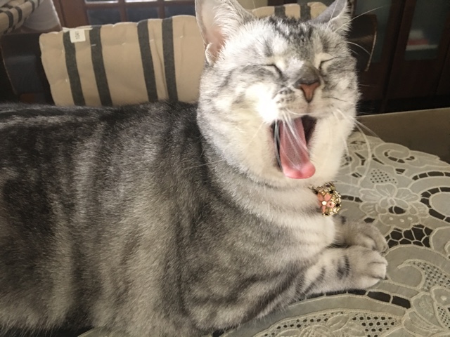 image.jpeg