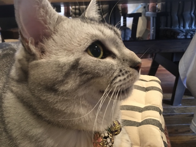 image.jpeg