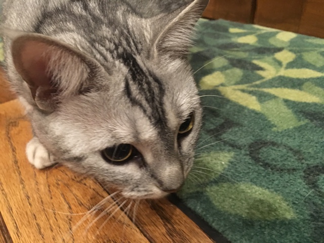 image.jpeg image.jpeg