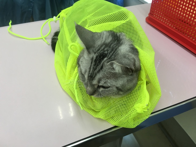 image.jpeg image.jpeg