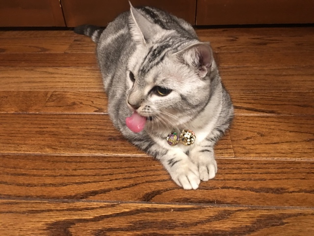 image.jpeg image.jpeg