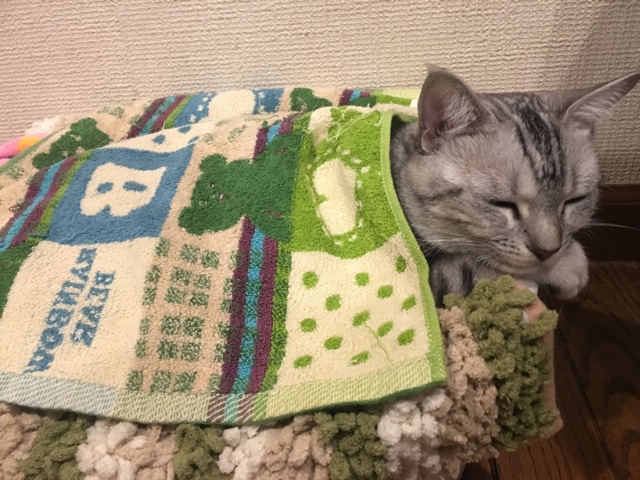 image.jpeg image.jpeg