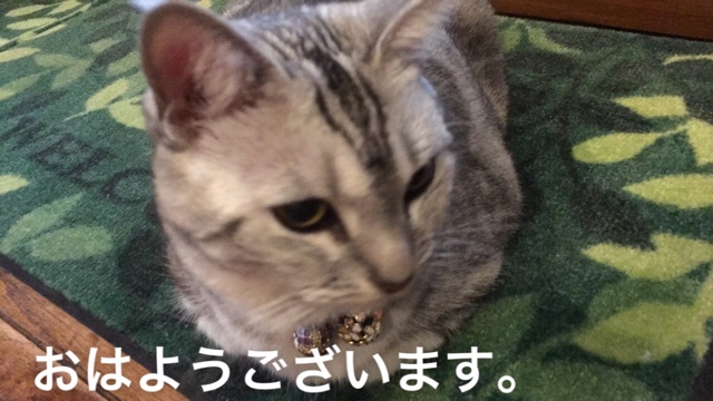 image.jpeg