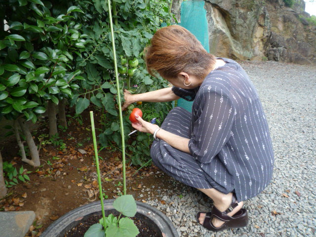 ȥޥH,21.7.11.JPG