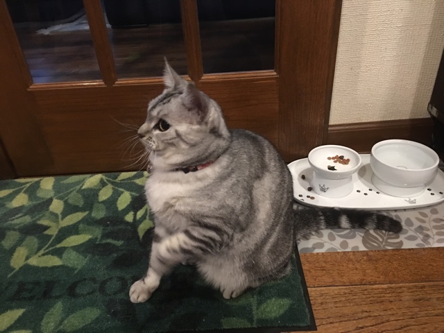 image.jpeg