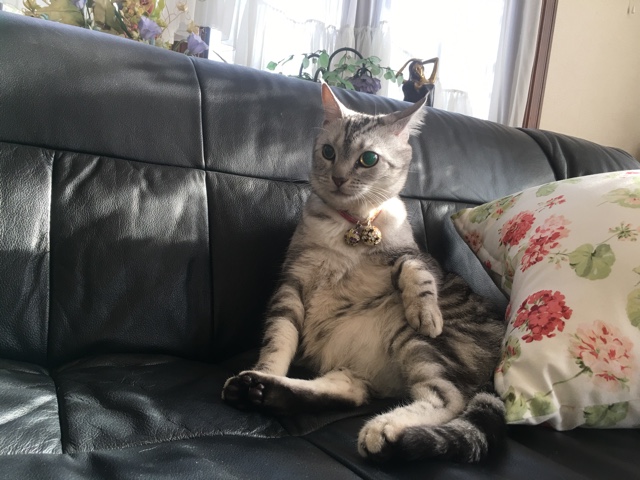 image.jpeg