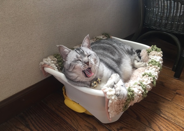 image.jpeg