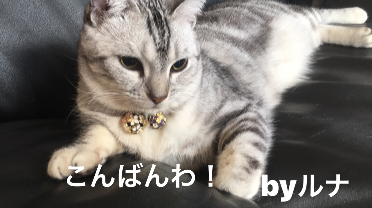 image.jpeg image.jpeg
