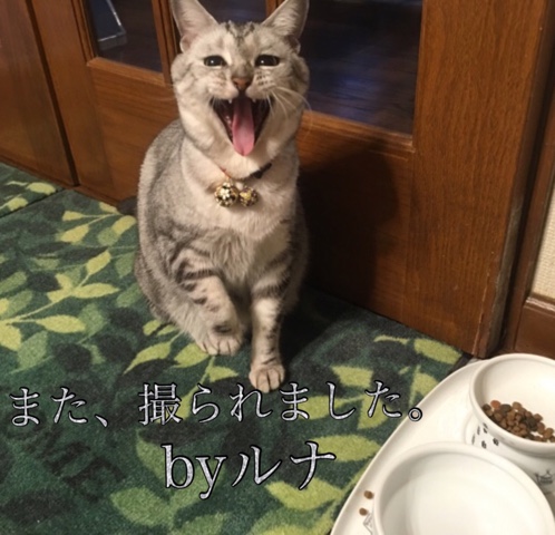 image.jpeg