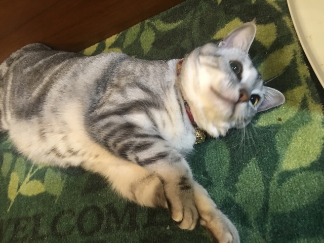 image.jpeg image.jpeg
