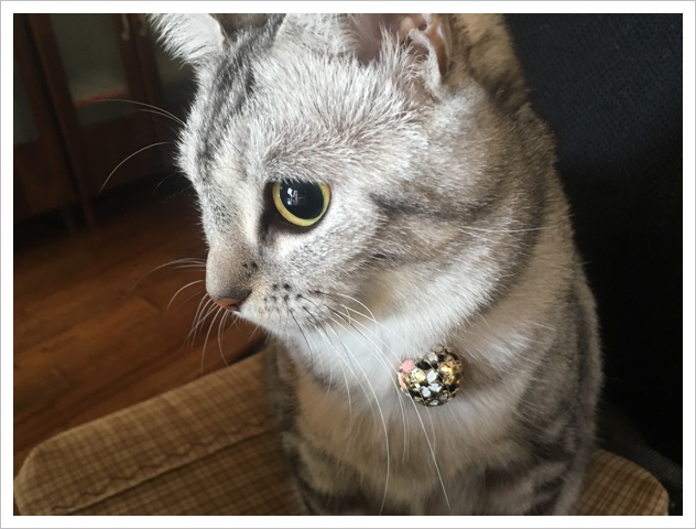 image.jpeg image.jpeg