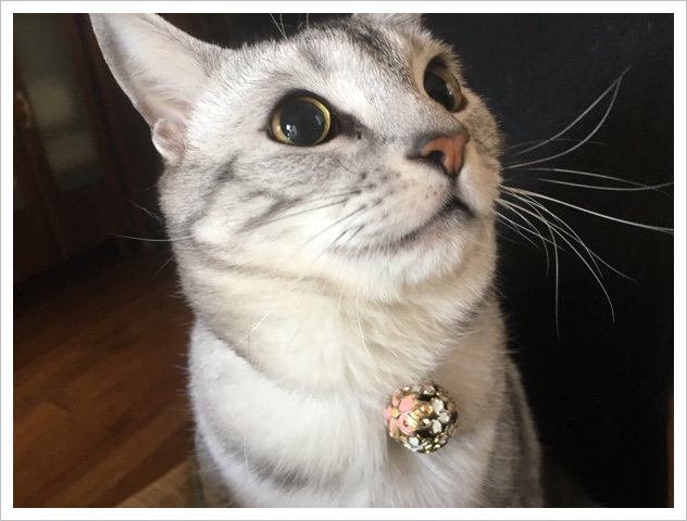 image.jpeg image.jpeg