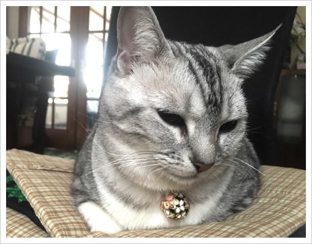 image.jpeg image.jpeg