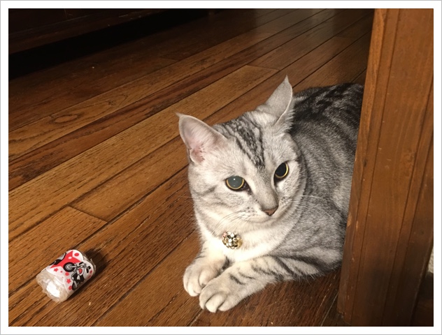 image.jpeg image.jpeg