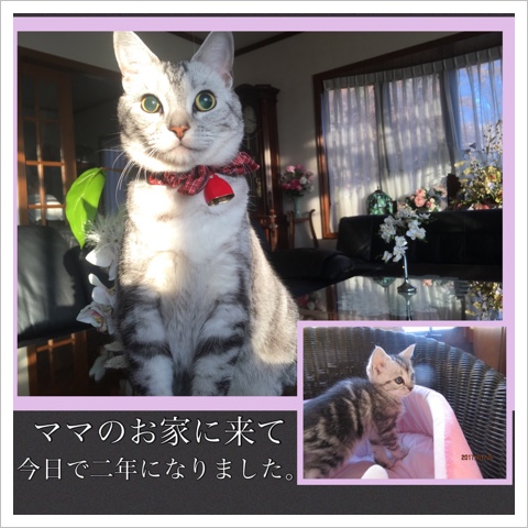 image.jpeg
