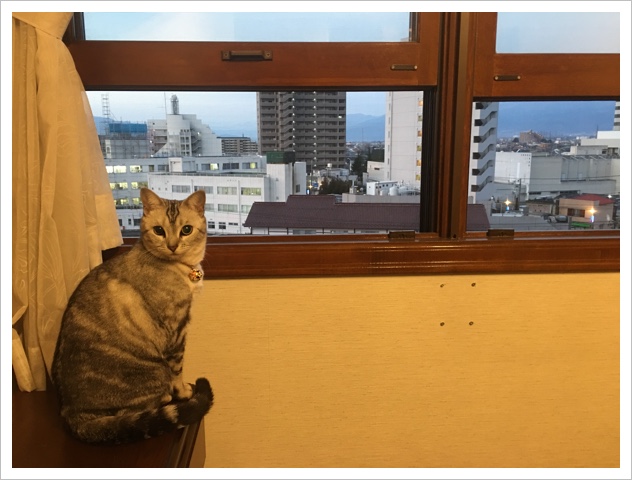 image.jpeg