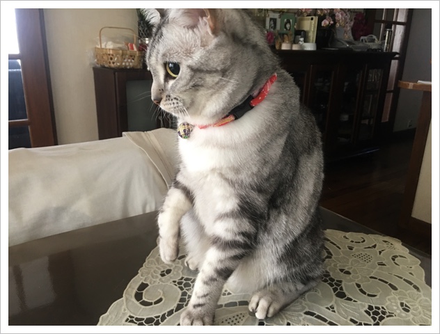 image.jpeg image.jpeg