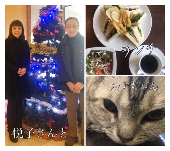 ꥹޥࡼɤΥۥƥǱٻҤ