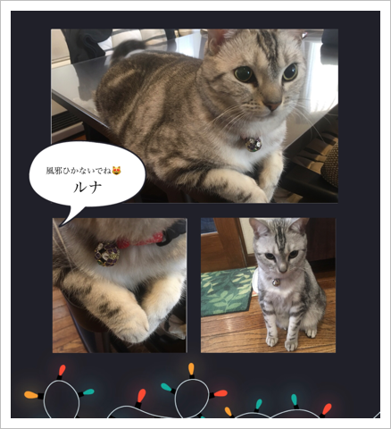 風邪ひかないでね by ルナ 風邪ひかないでね by ルナ